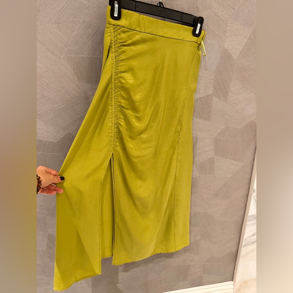 Zara skirt, slip.